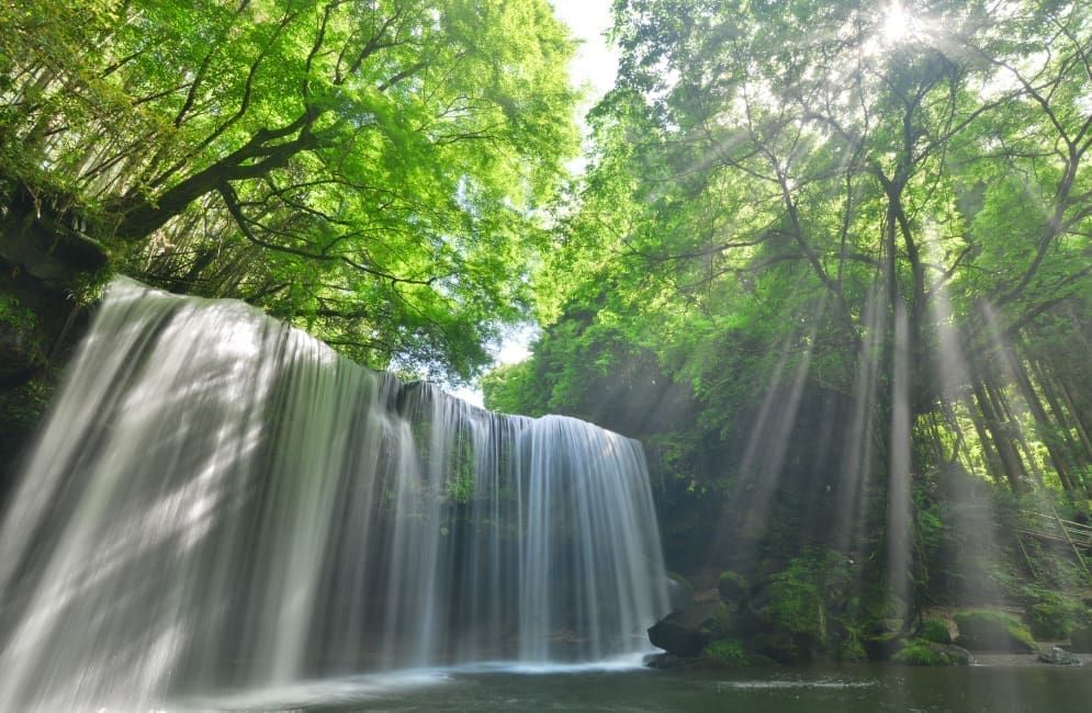 九重夢大吊橋
