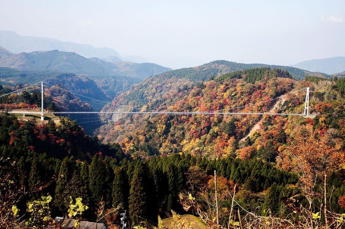 九州紅葉名湯包車5日遊(福岡進出) 行程亮點