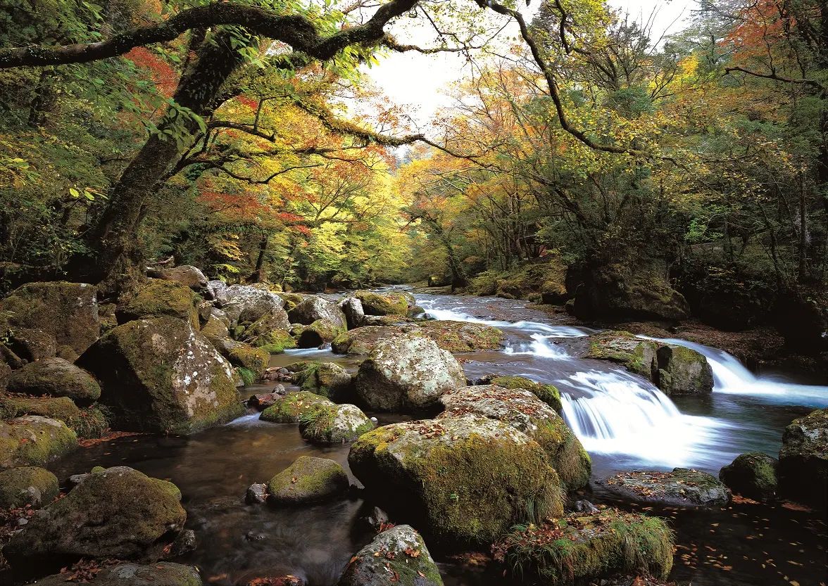 白川水源