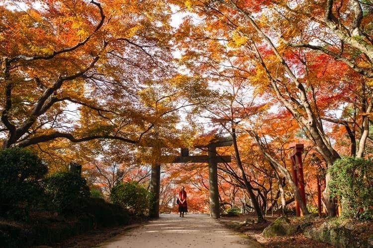 🍁菊池溪谷