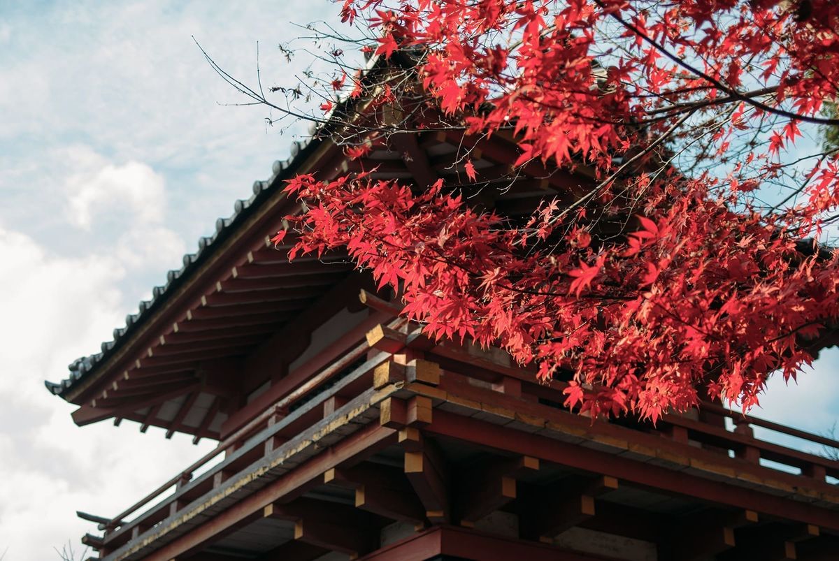 🍁太宰府竈門神社