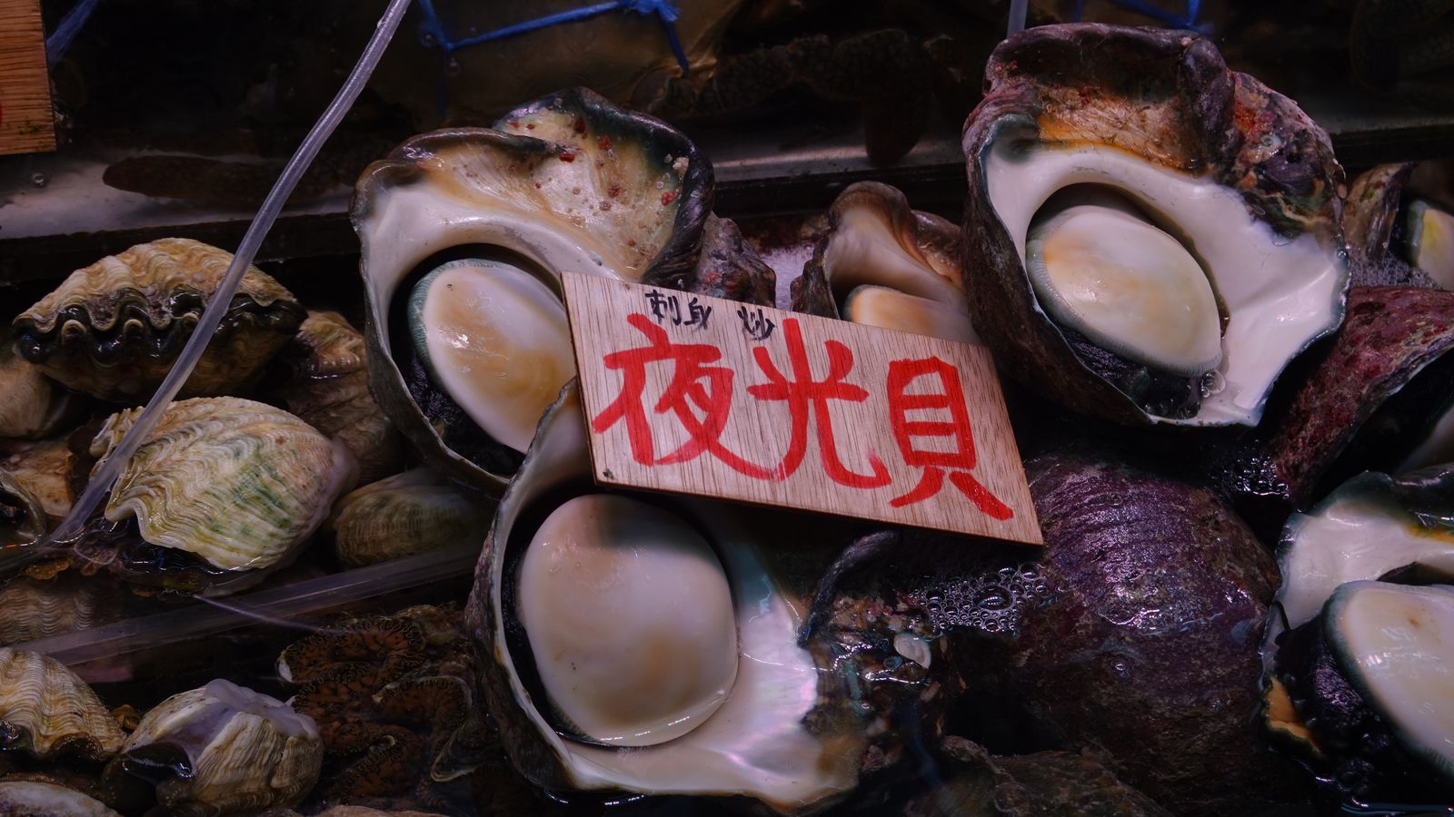 沖繩牧志市場海鮮與特產品攤位