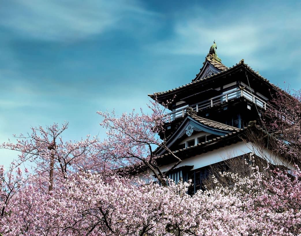 丸岡城