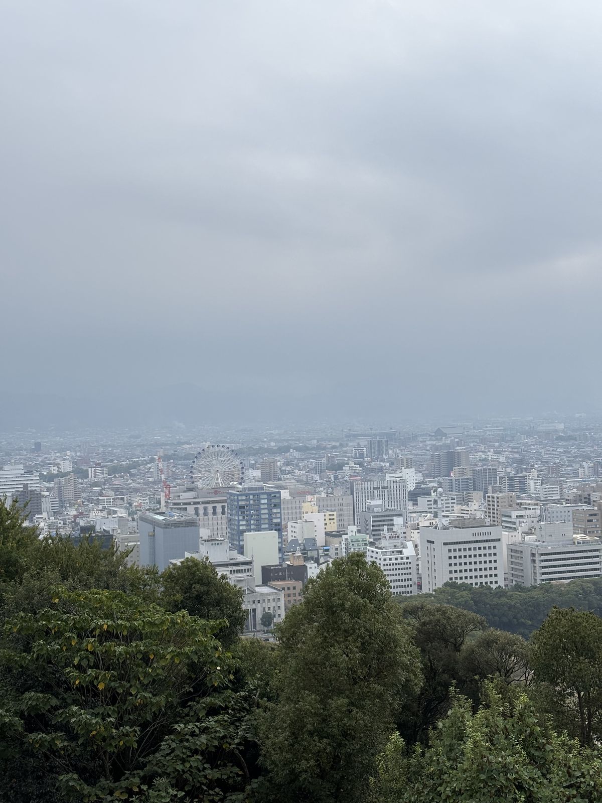 從松山城俯瞰松山市區景觀