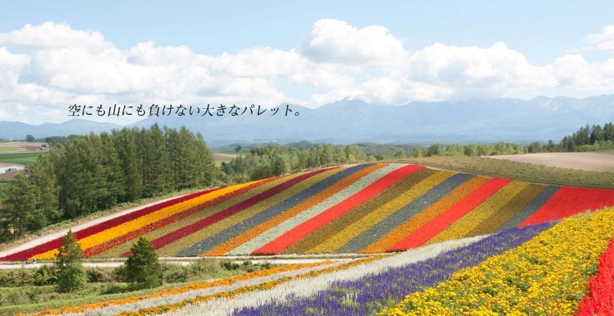北龍町向日葵之里