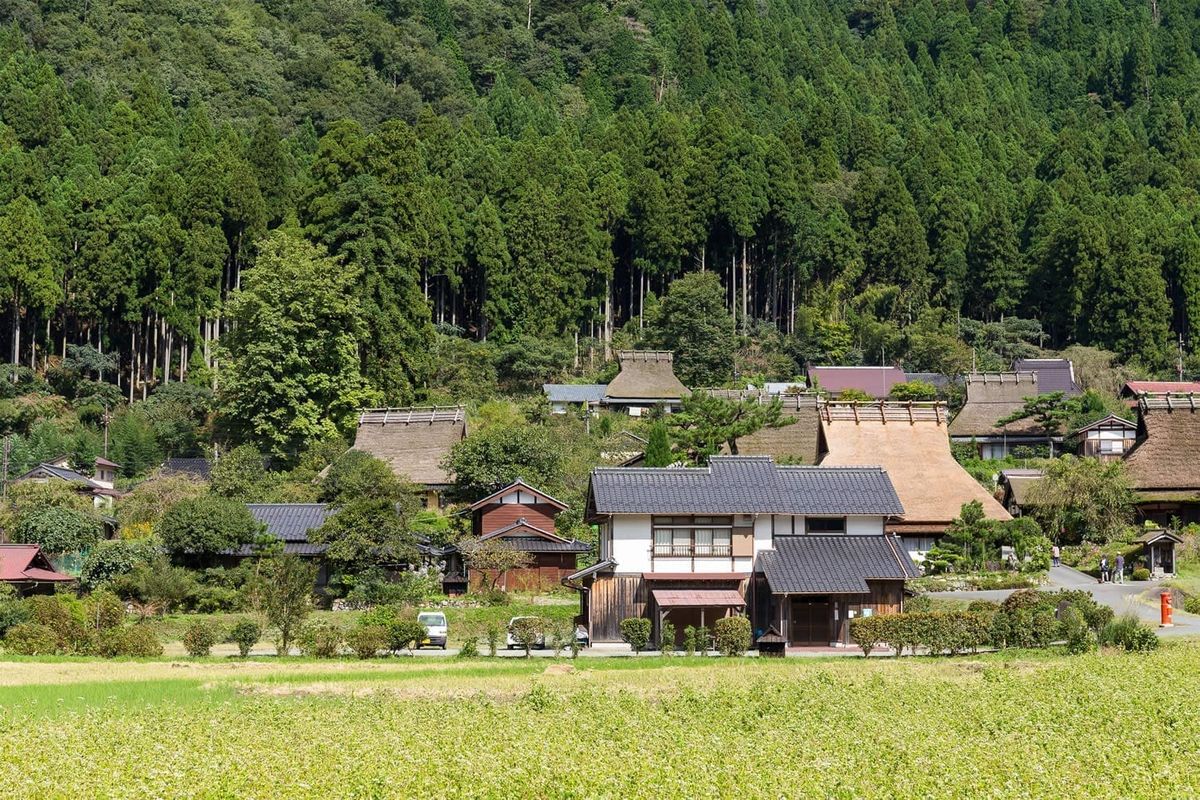 日本威尼斯+伊根灣遊覽船