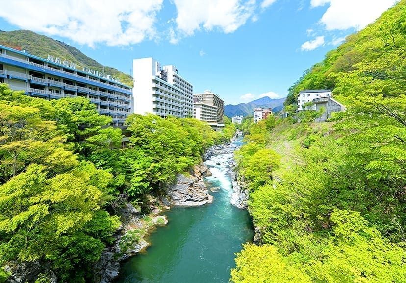 東京日光、伊豆深度七日