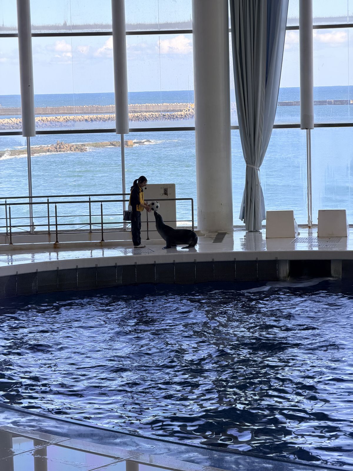 Ocean Live 表演池與太平洋海景連成一片