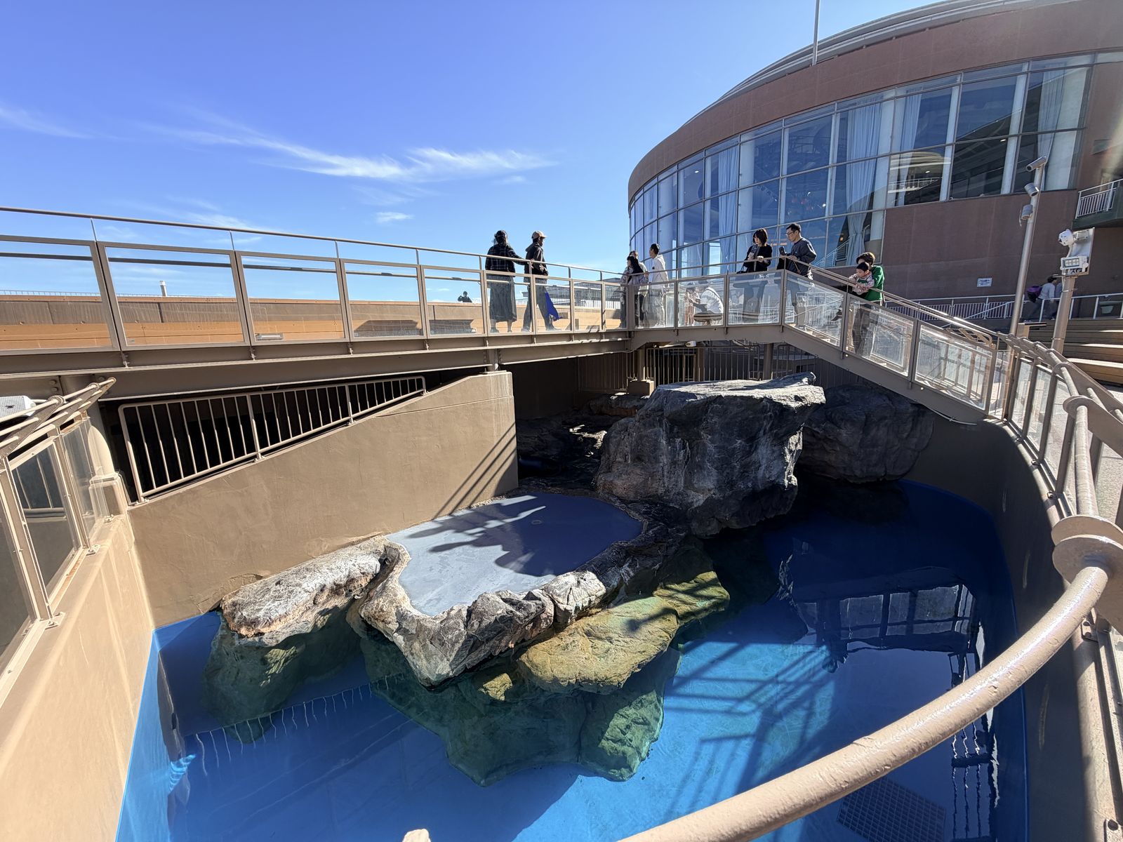 戶外企鵝池與岩石島嶼展示區