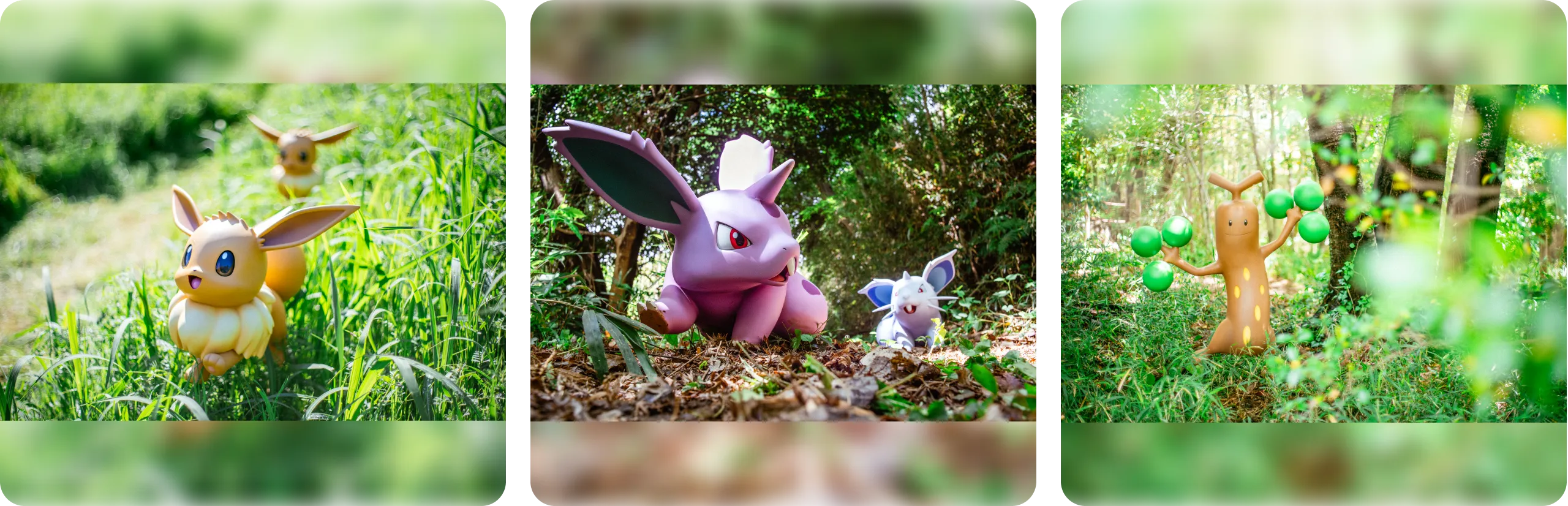 PokéPark KANTO 寶可夢森林步道與寶可夢場景示意
