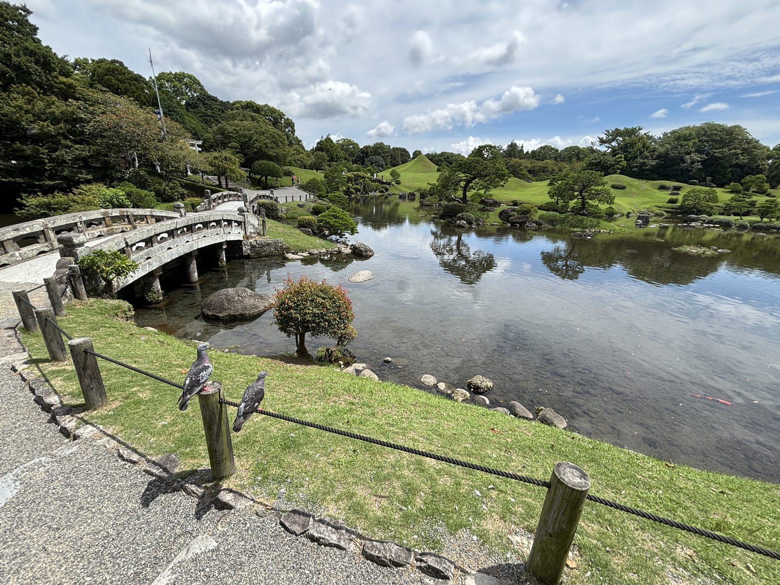 水前寺成趣園池畔石橋與錦鯉