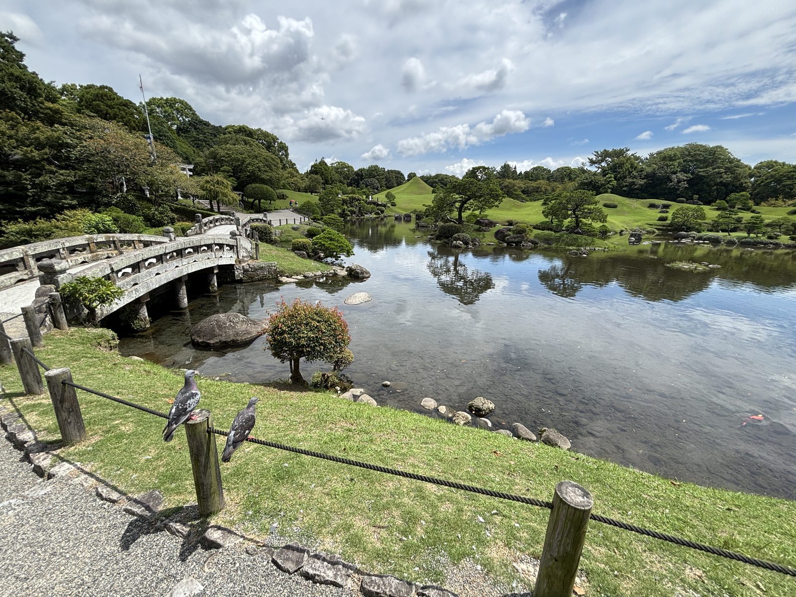 成趣園湧水池中的松樹小島