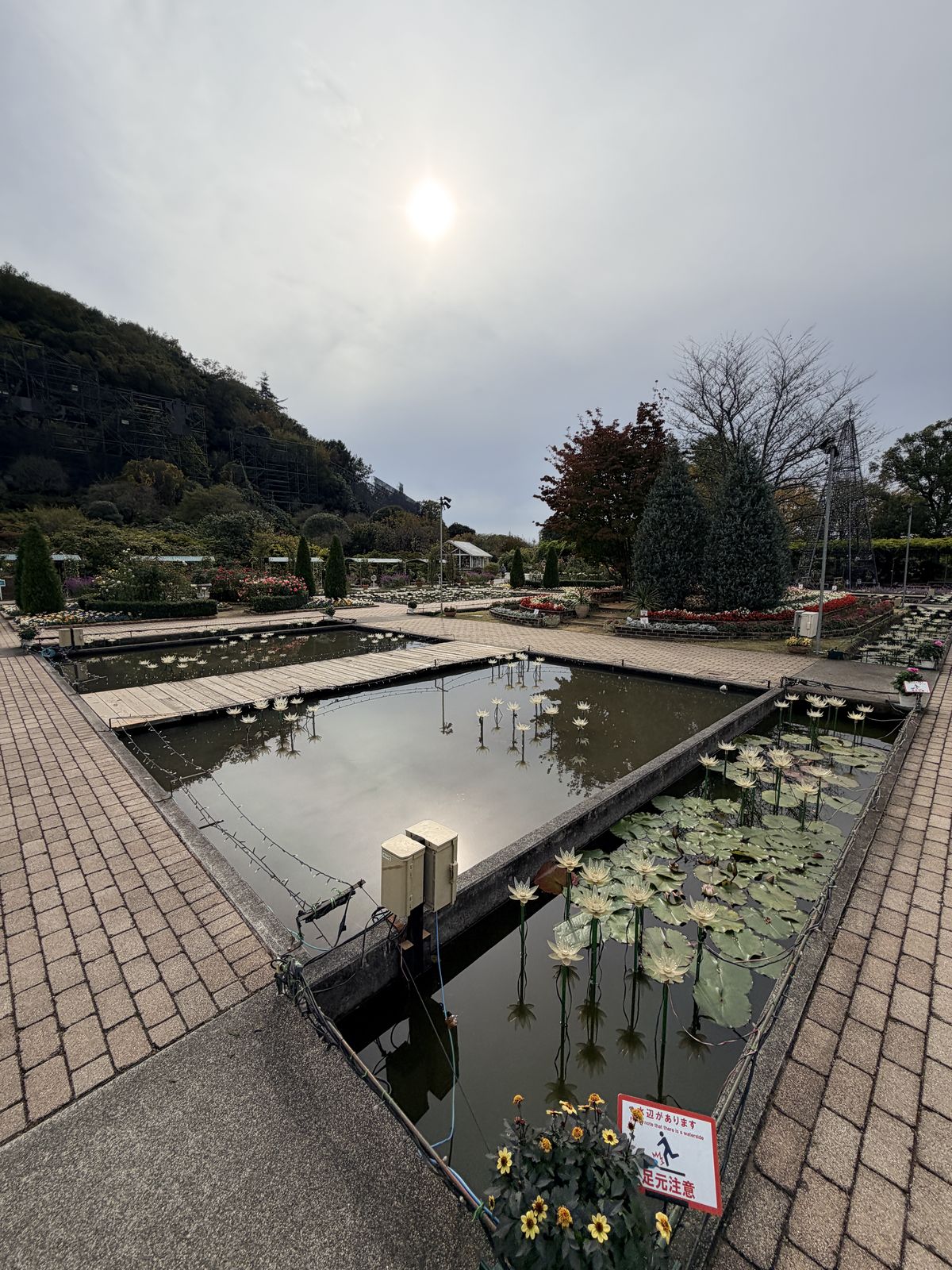 園內水池與周邊花境景觀