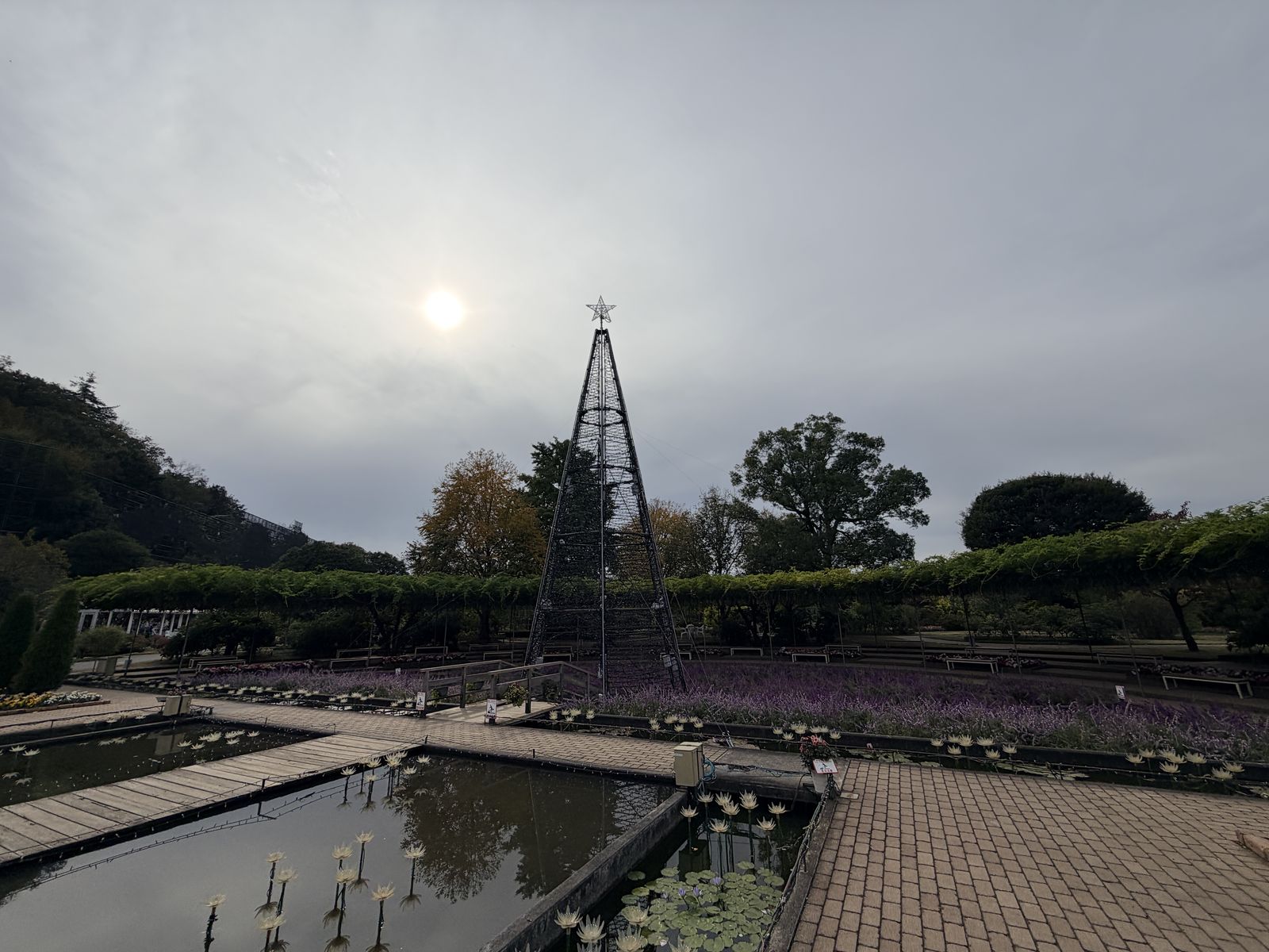 足利花卉公園紫色花海與園區燈飾骨架