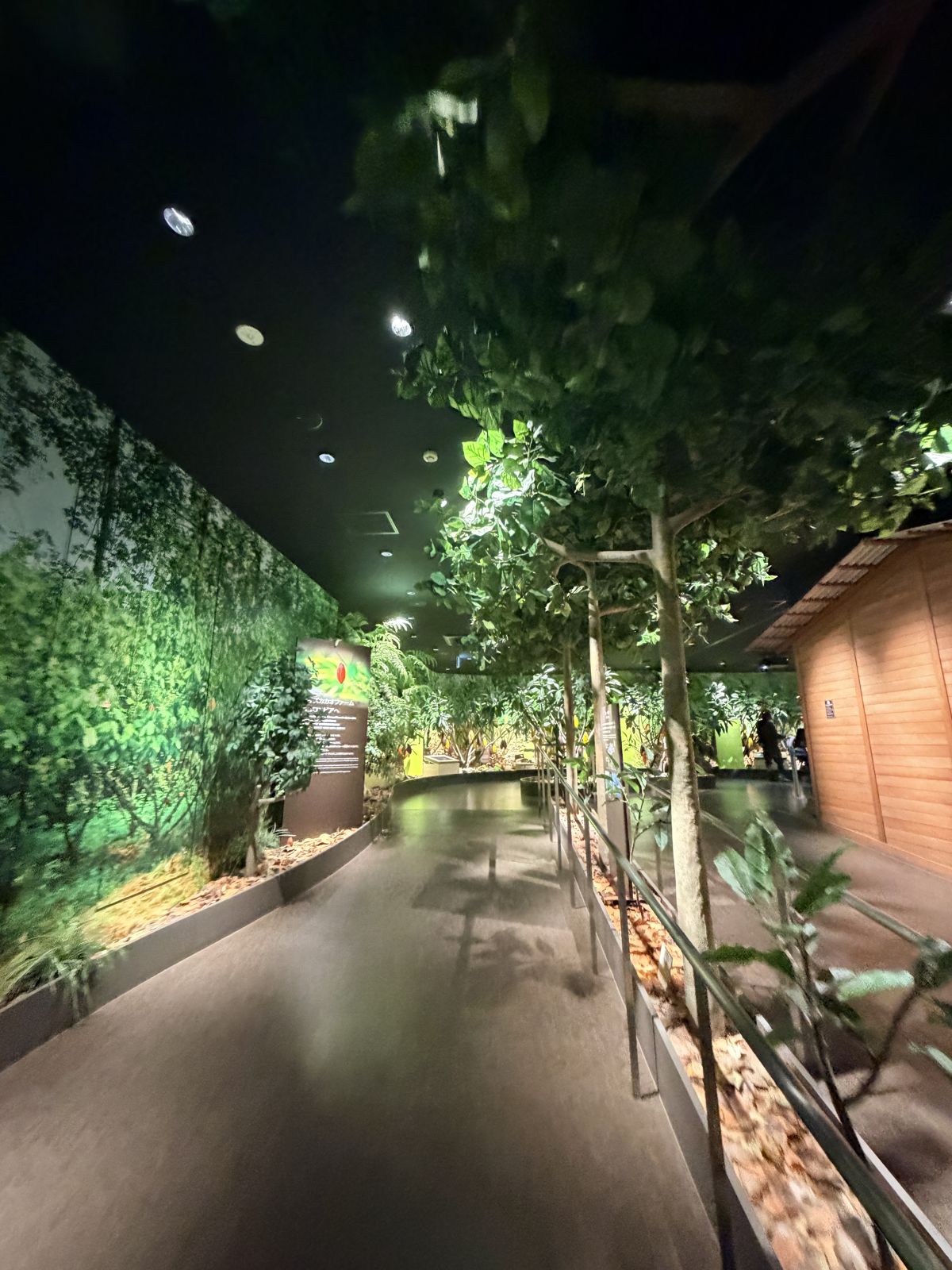 ROYCE' 可可農場區室內步道