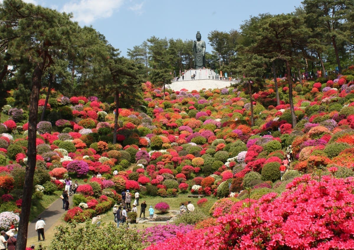 東京春夏花季賞花地點推薦