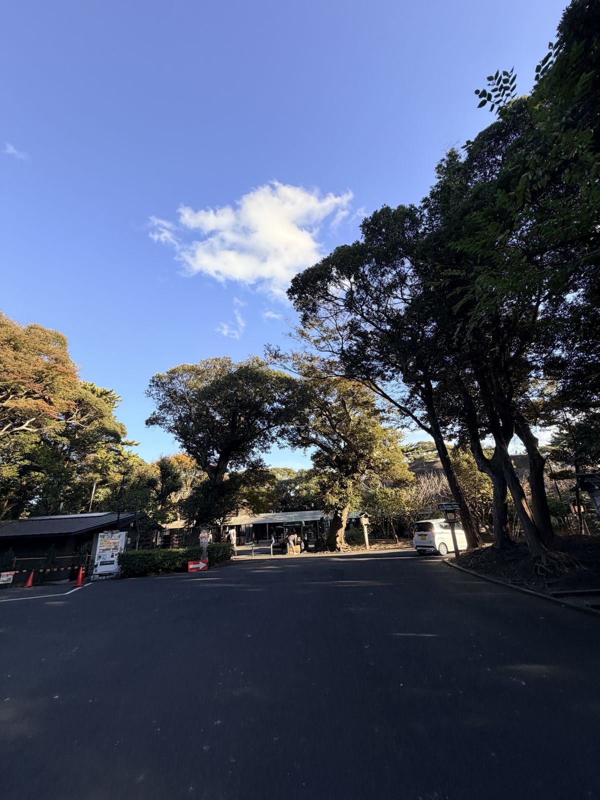 大洗磯前神社參道綠蔭與石燈籠