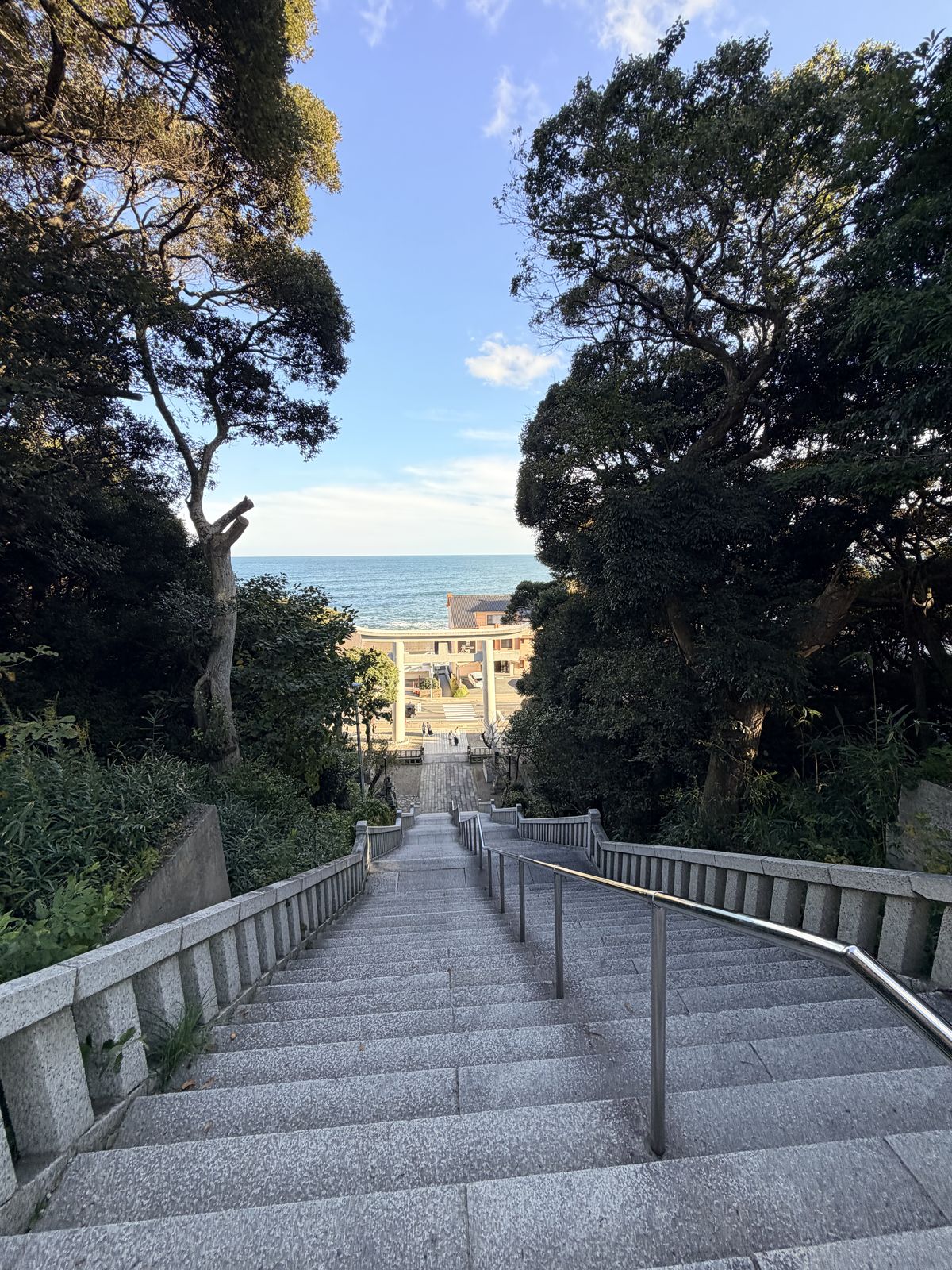 從神社石階俯瞰鳥居與太平洋