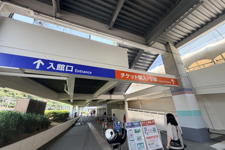 鳥羽水族館攻略｜門票、交通、海獺餵食與儒艮必看重點