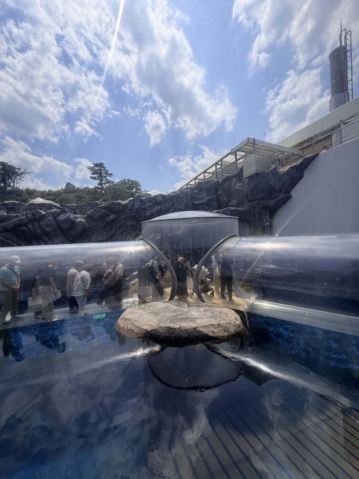 鳥羽水族館戶外海獸水池與近距離觀察區