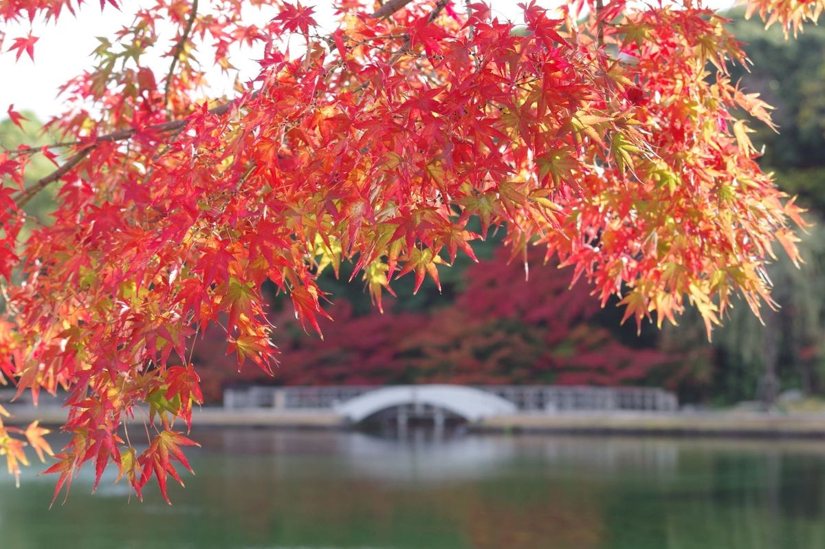德川園
