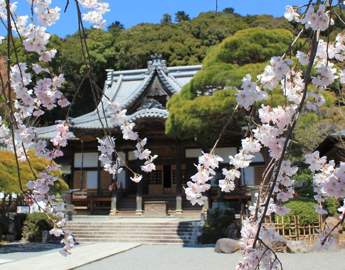伊豆廣景公園