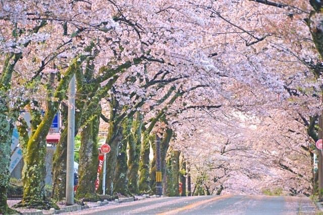 小室山纜車