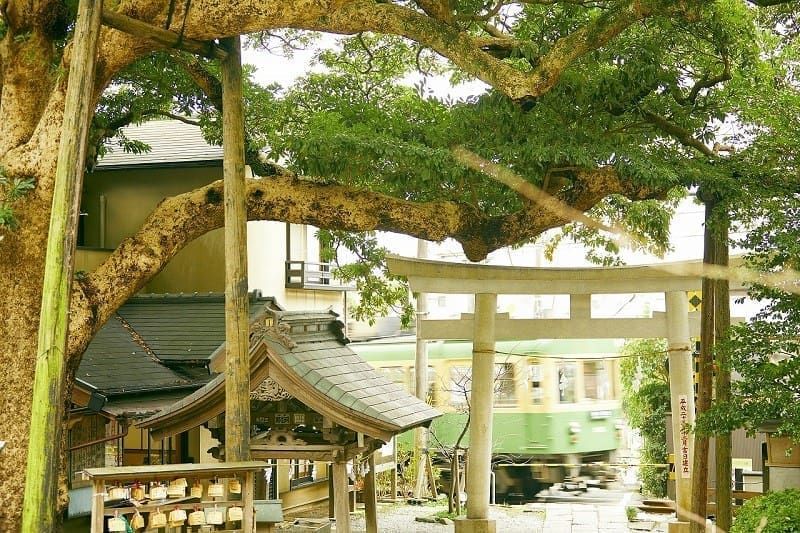 長谷寺（鎌倉）