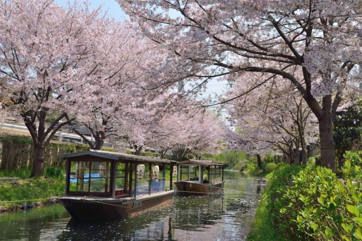 九州「鐵道觀光和服體驗溫泉親子」7日遊｜鐵道觀光和服體驗溫泉親子