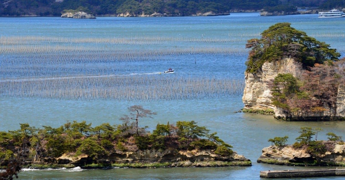 青森仙台賞楓七日