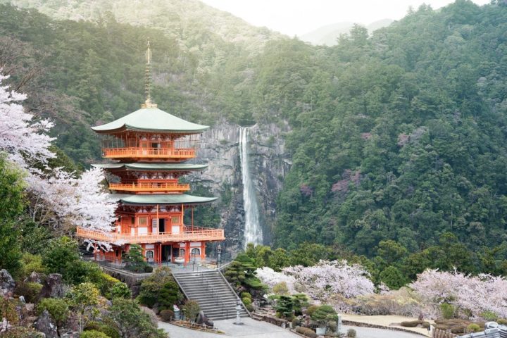 關西「大阪-和歌山-京都五夜」6日遊｜大阪-和歌山-京都五夜