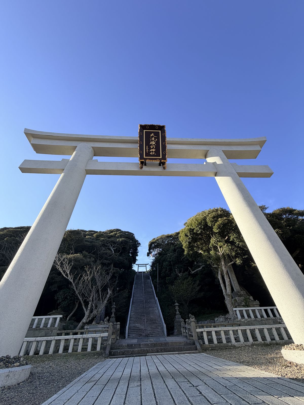 通往鎮守之森的白色鳥居與參道