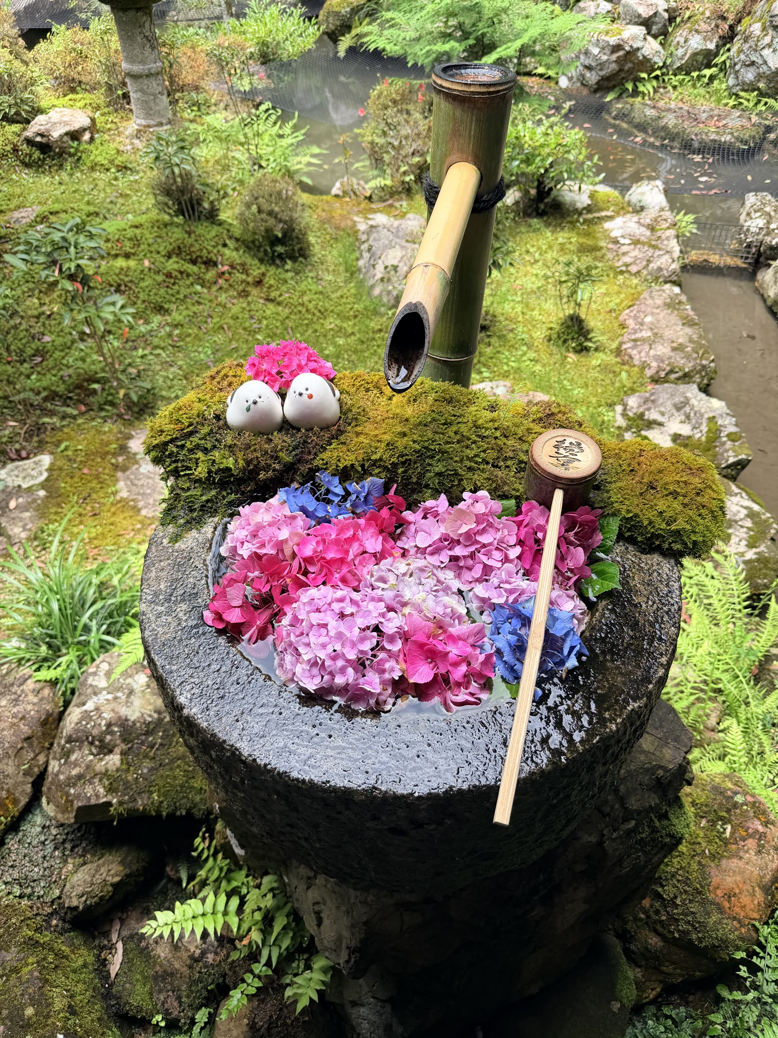 柳谷觀音楊谷寺庭園中的粉色花手水