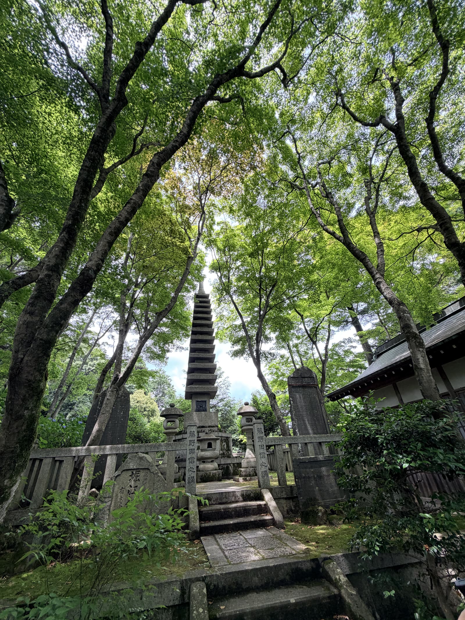 綠樹包圍的柳谷觀音楊谷寺堂宇