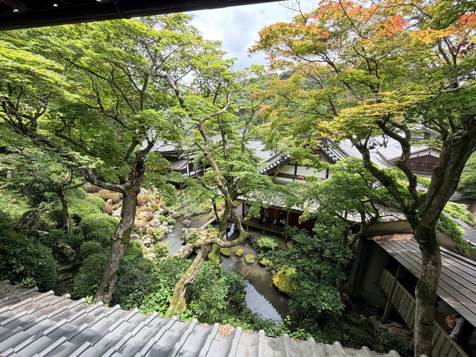 上書院俯瞰柳谷觀音楊谷寺浄土苑