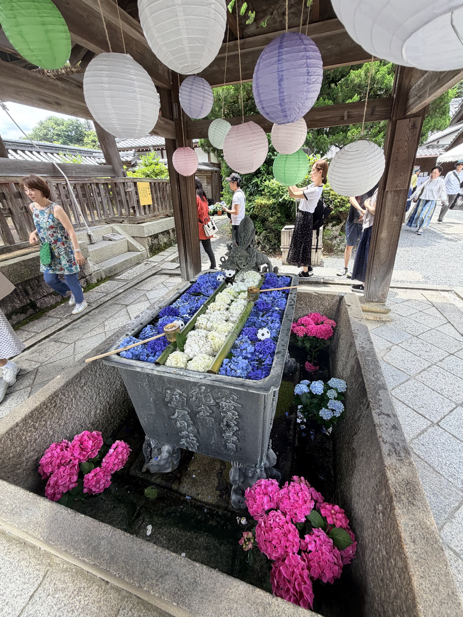 柳谷觀音楊谷寺以繡球花布置的花手水