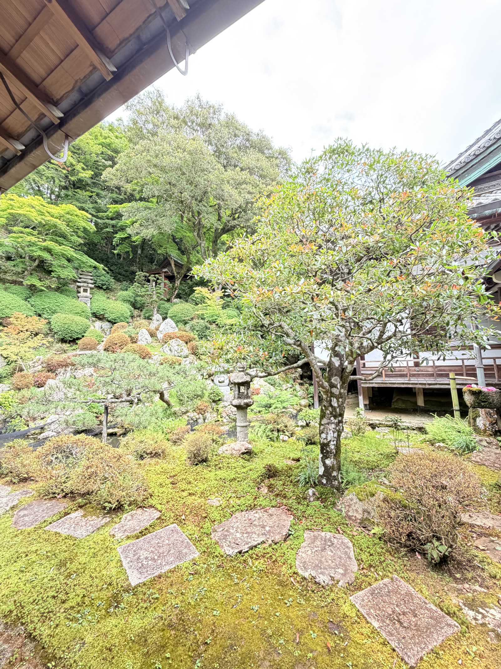 從書院欣賞柳谷觀音楊谷寺浄土苑