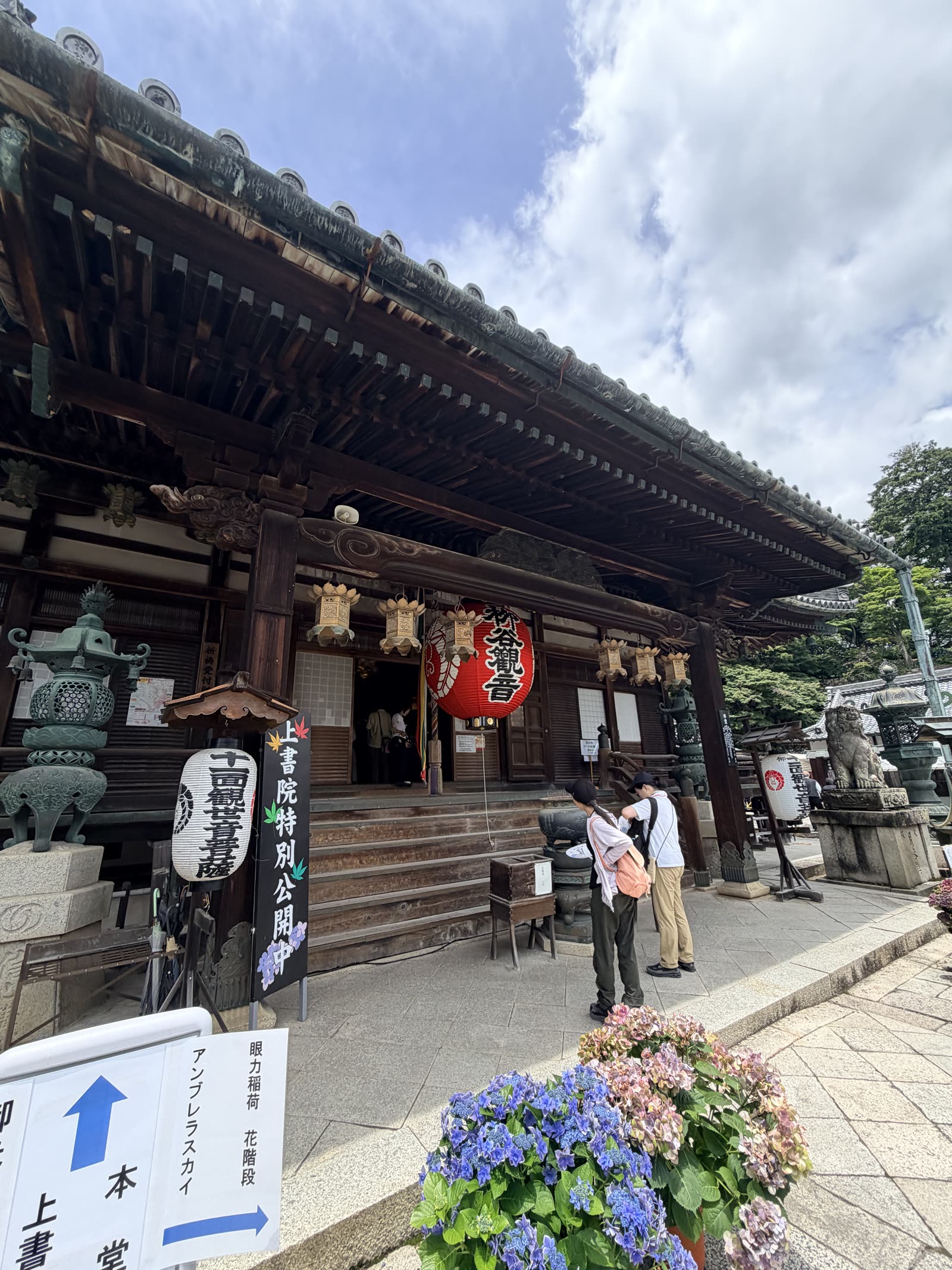 柳谷觀音楊谷寺本堂與繡球花