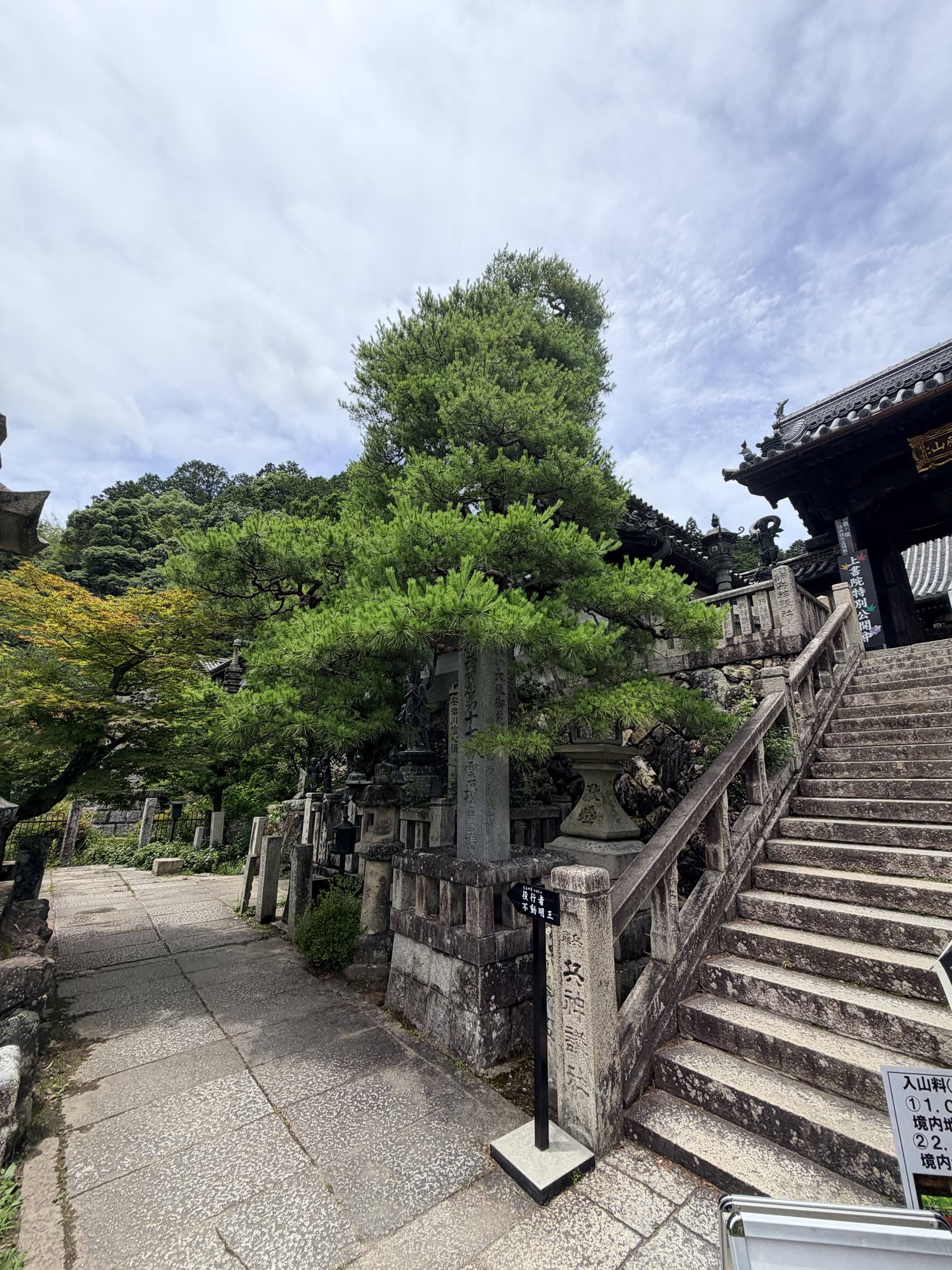 柳谷觀音楊谷寺山門前的石階