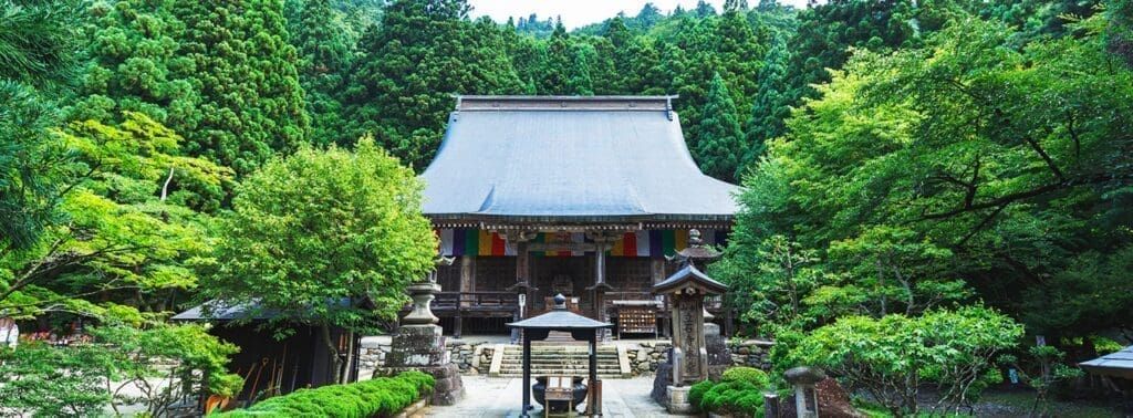 藏王纜車・樹冰