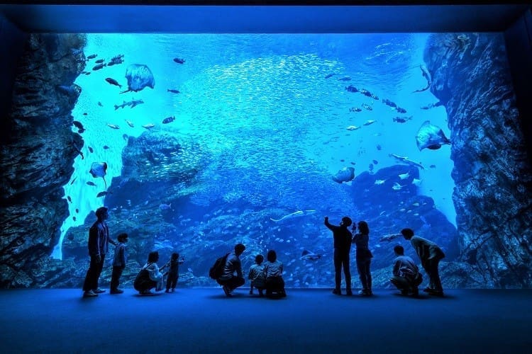 仙台海洋森林水族館東北海洋展示