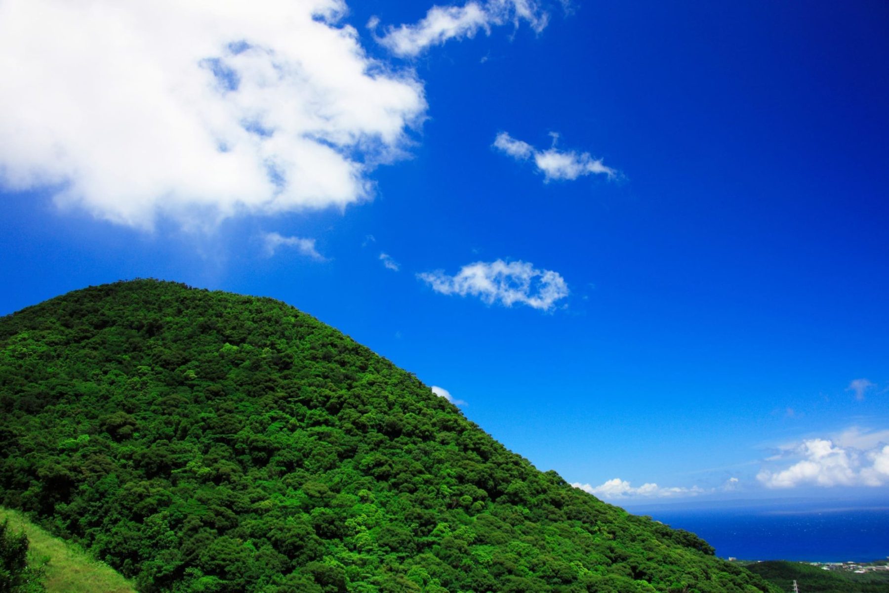 屋久島夏季原始森林與山岳景色