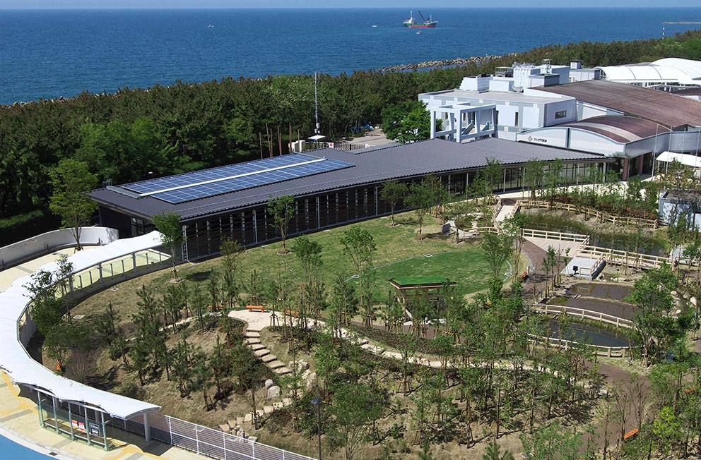新潟市水族館海洋生物展示