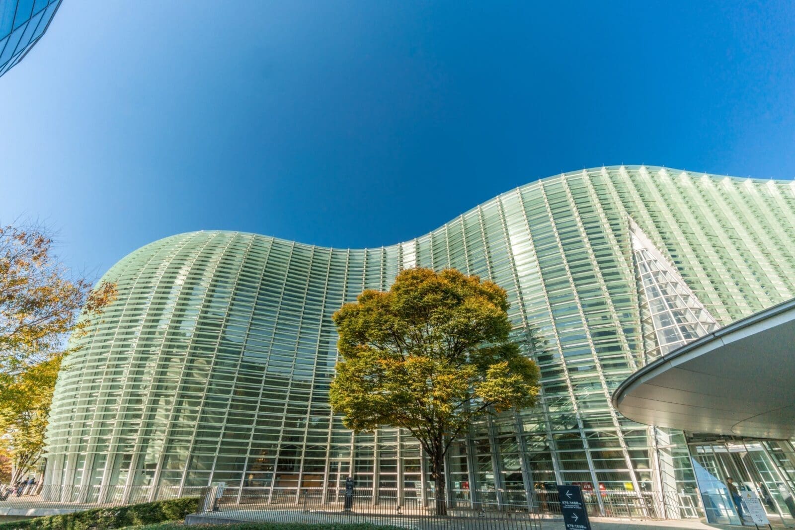 日本必去美術館指南:探索東京、金澤、青森等地的頂級藝術殿堂