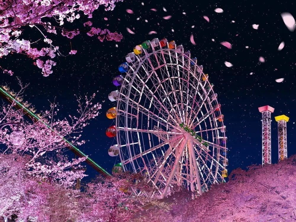 東京讀賣樂園櫻花祭與夜櫻點燈活動全攻略