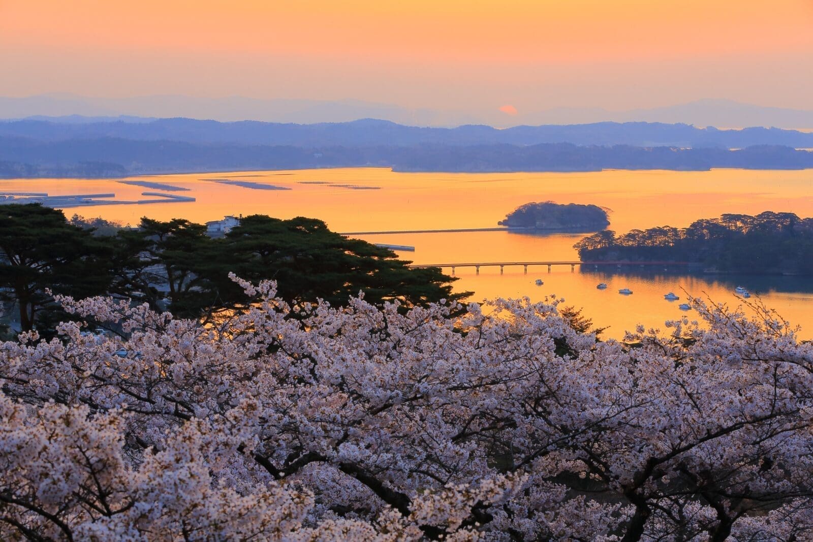 松島灣景觀