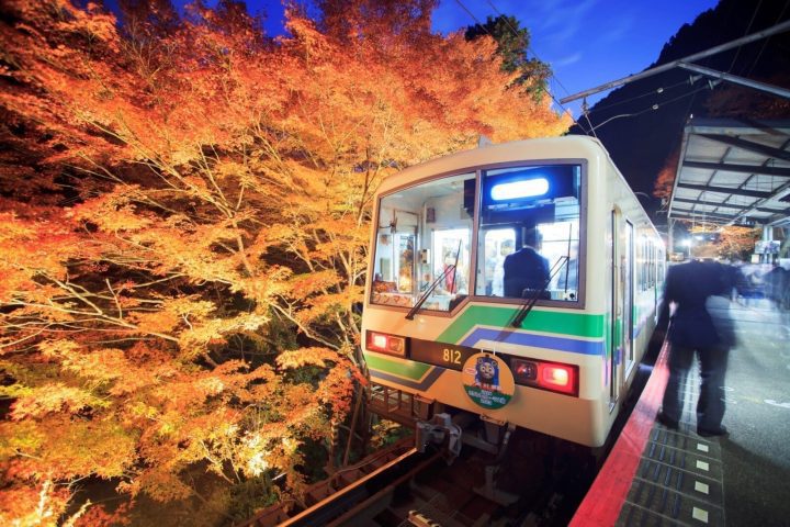 京都叡山電車楓葉隧道攻略|紅葉季、點燈、觀光列車與一日券