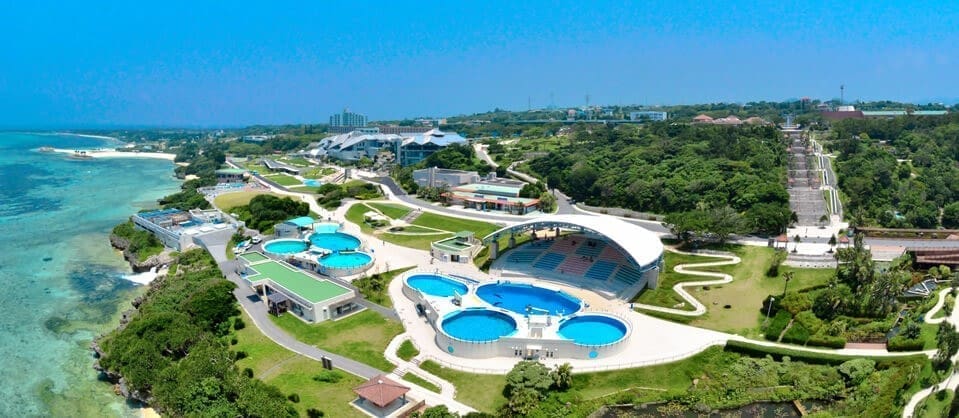 沖繩美麗海水族館黑潮之海水槽