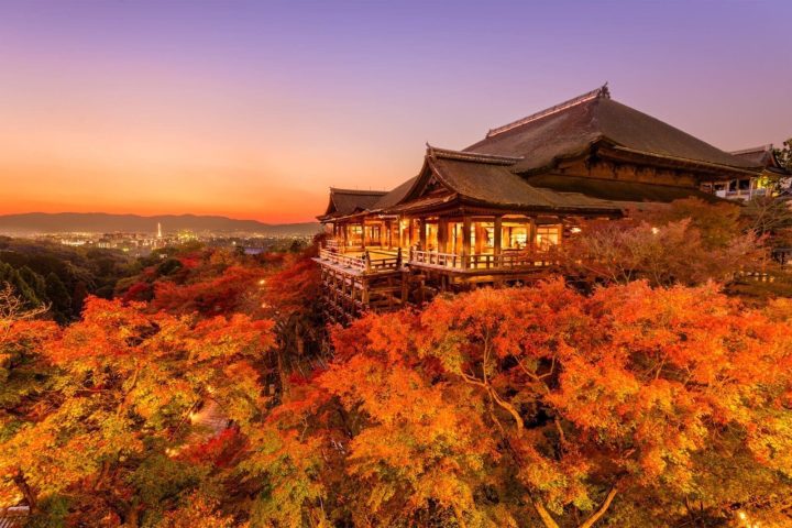 京都賞楓攻略|10大紅葉景點、最佳見頃與一日行程