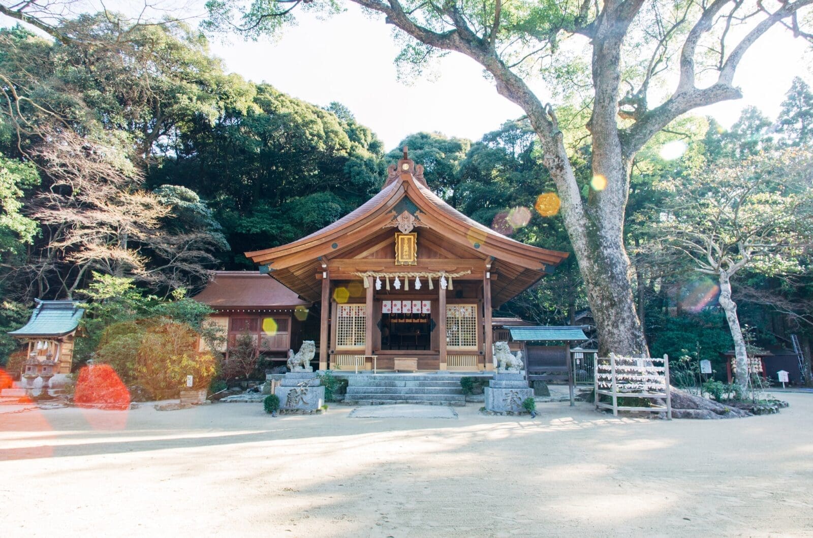 來福岡，體驗最熱情的夏天吧！ 8月活動全攻略